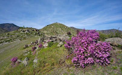 Similar image 22203438