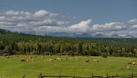 Similar image 22203098