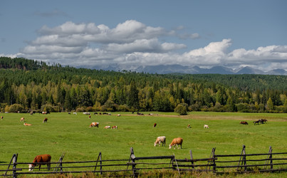 Similar image 22203099