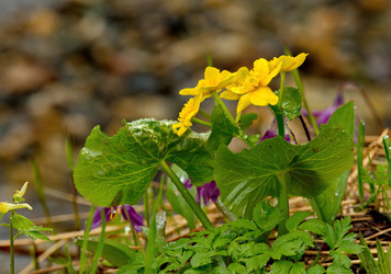 Similar image 22205023