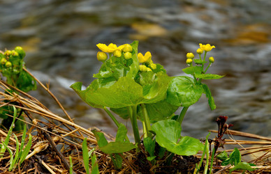 Similar image 22205024