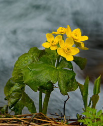 Similar image 22205026