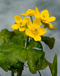 Similar image 22205027