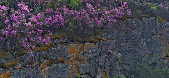 Similar image 22204511