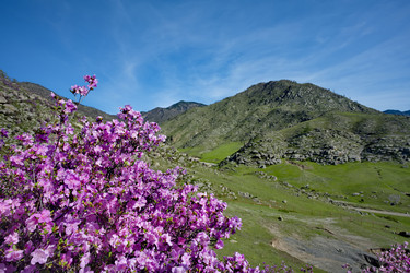 Similar image 22203441