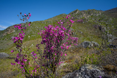 Similar image 22203442