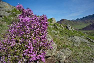 Similar image 22203446