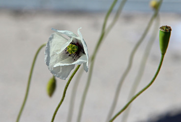 Similar image 22203209