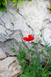 Similar image 22203211