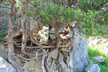 Similar image 22203212