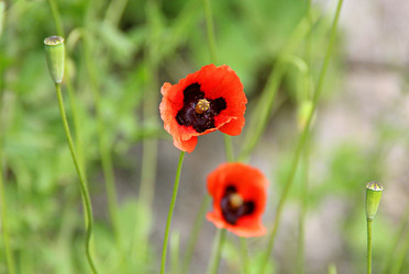 Similar image 22203213