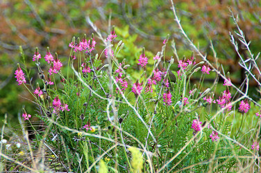 Similar image 22203215