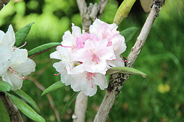 Similar image 22203216