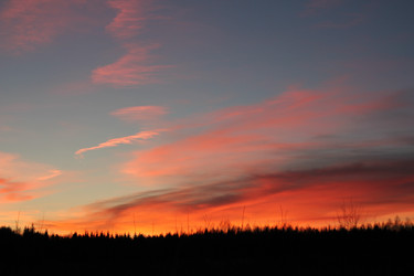 Similar image 22208628