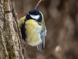 Similar image 22203100