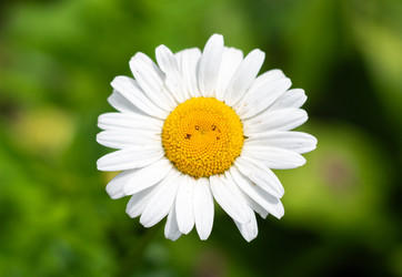 Similar image 22202999