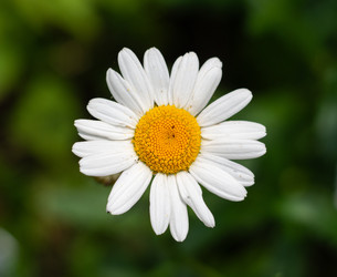 Similar image 22203001