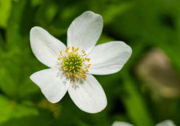 Similar image 22203101