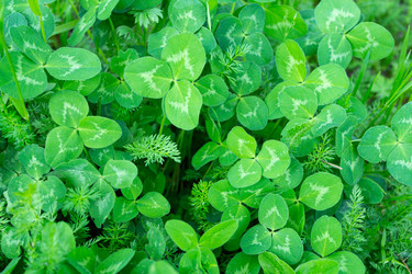 Similar image 22203005