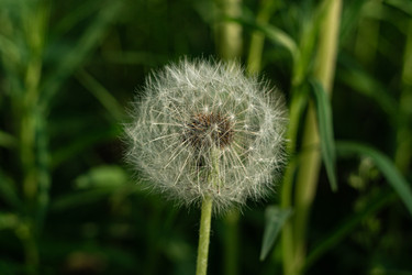 Similar image 22203006