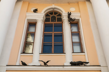 Similar image 22206029