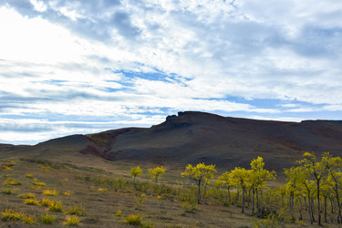 Similar image 22203108