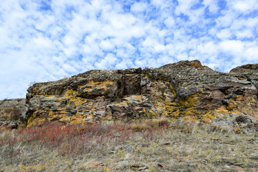 Similar image 22203111