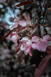 Similar image 22203023