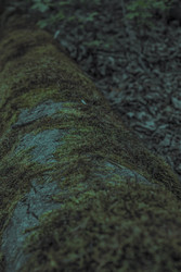 Similar image 22203024