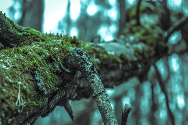 Similar image 22203027