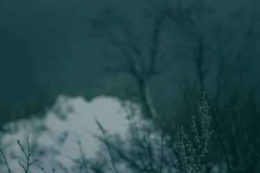 Similar image 22203028