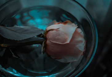 Similar image 22203030