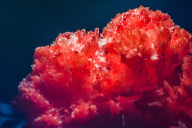 Similar image 22203031