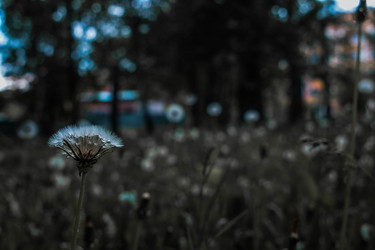 Similar image 22203033