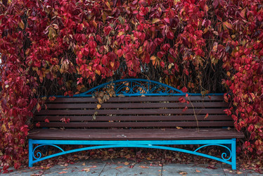 Similar image 22203034