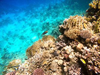 Similar image 22204788