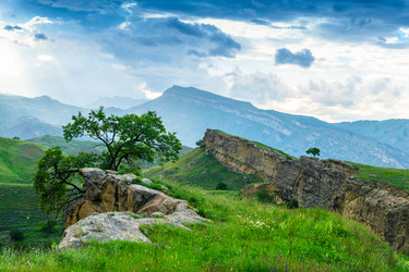 Similar image 22204797