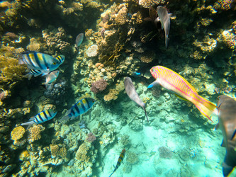 Similar image 22204811