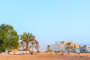 Similar image 22204814