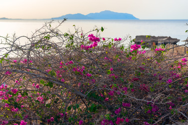 Similar image 22204818