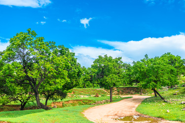 Similar image 22204827