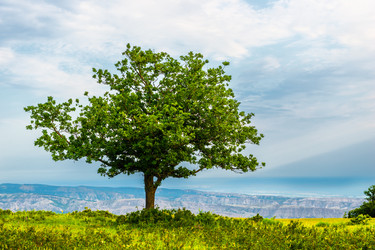 Similar image 22204835