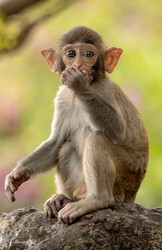 Similar image 22203045