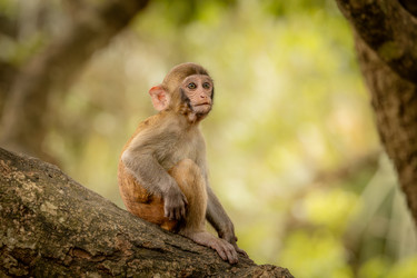 Similar image 22203128