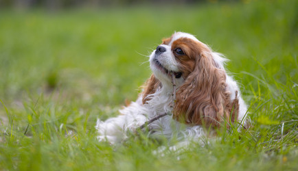 Similar image 22203134