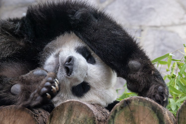 Similar image 22203135