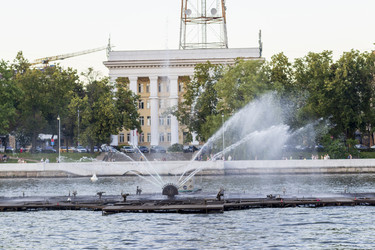 Similar image 22203901