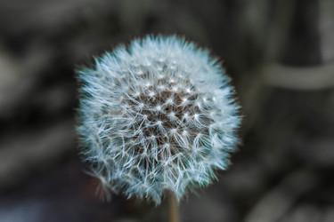 Similar image 22203048