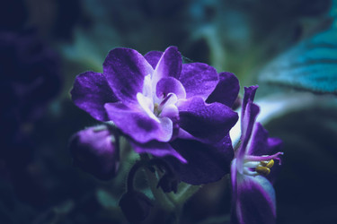 Similar image 22203050