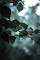 Similar image 22203051